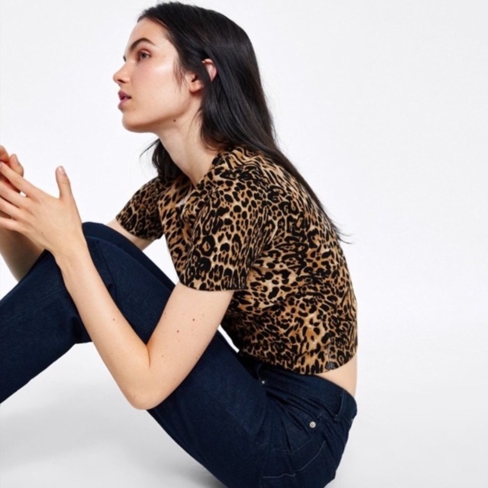 Zara Leopard Print Short Sleeve Crop Top